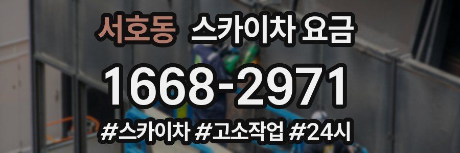 서호동 스카이차 요금