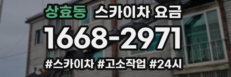 상효동 스카이차 요금