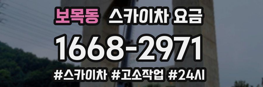 보목동 스카이차 요금