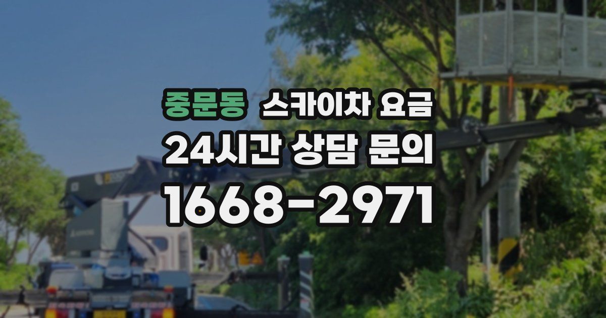 중문동 스카이차 요금