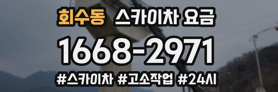 회수동 스카이차 요금