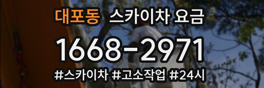 대포동 스카이차 요금