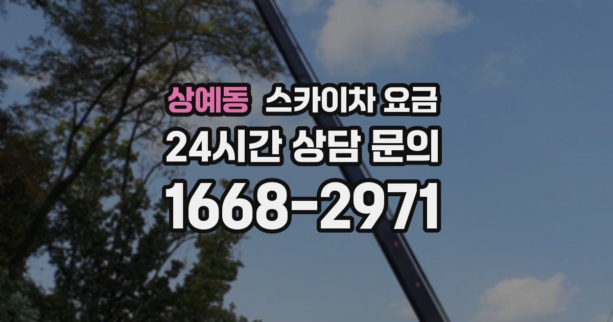 상예동 스카이차 요금