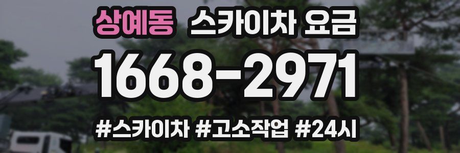 상예동 스카이차 요금