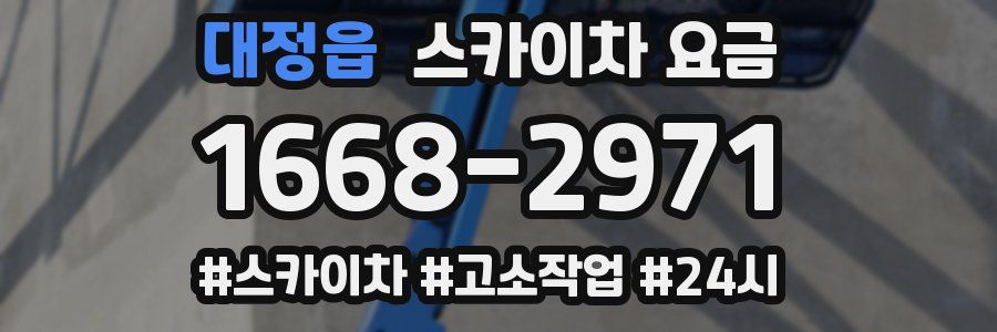 대정읍 스카이차 요금