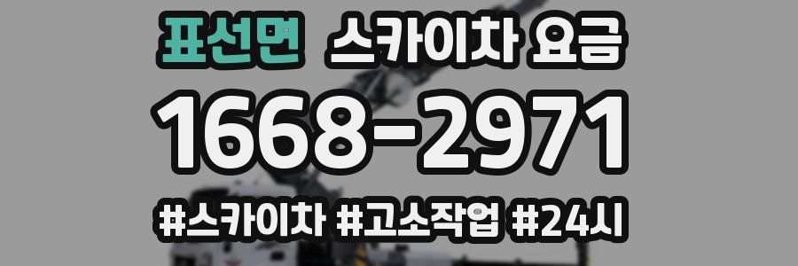 표선면 스카이차 요금