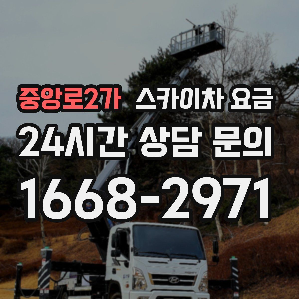 중앙로2가 스카이차 요금