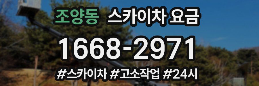 조양동 스카이차 요금
