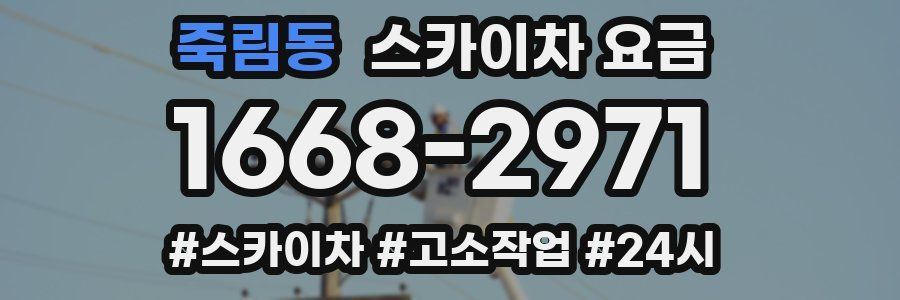 죽림동 스카이차 요금