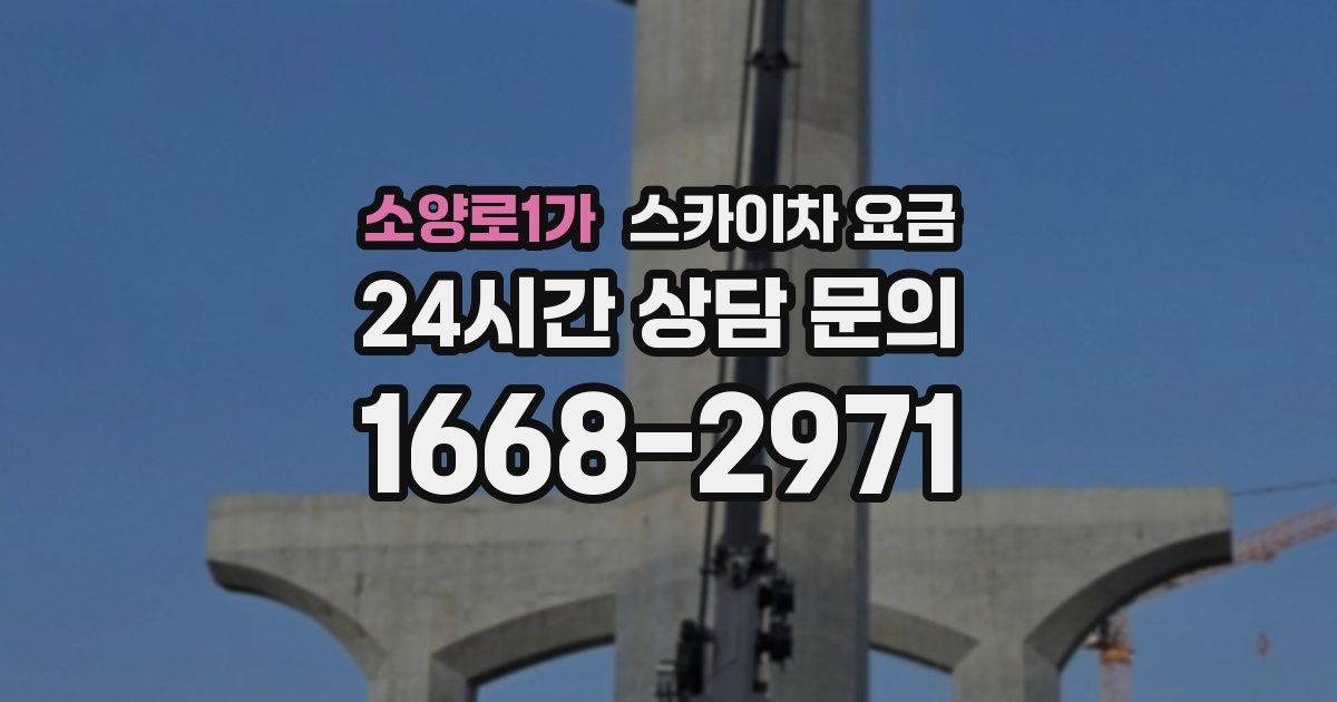 소양로1가 스카이차 요금