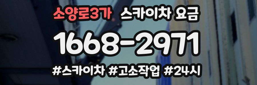 소양로3가 스카이차 요금