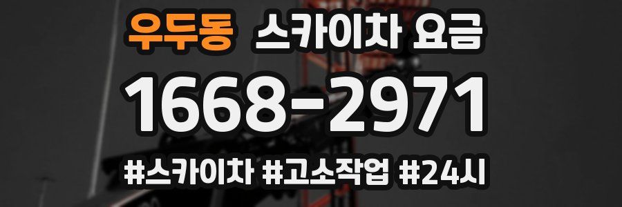 우두동 스카이차 요금