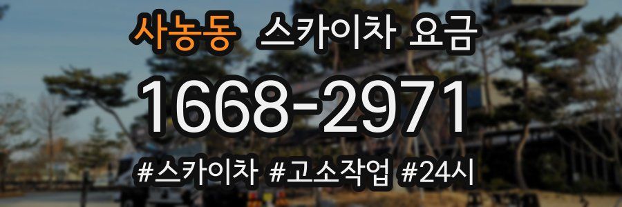 사농동 스카이차 요금