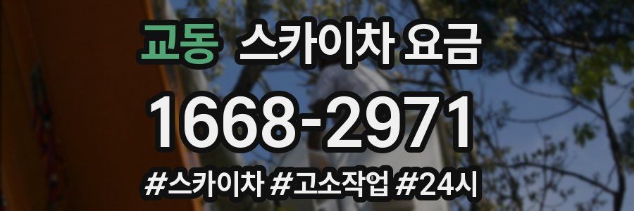 교동 스카이차 요금