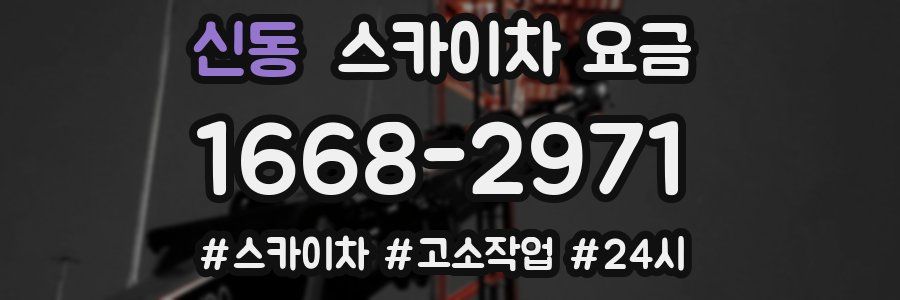 신동 스카이차 요금