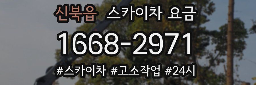 신북읍 스카이차 요금