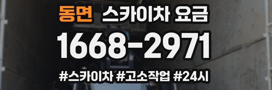 동면 스카이차 요금