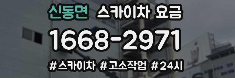 신동면 스카이차 요금