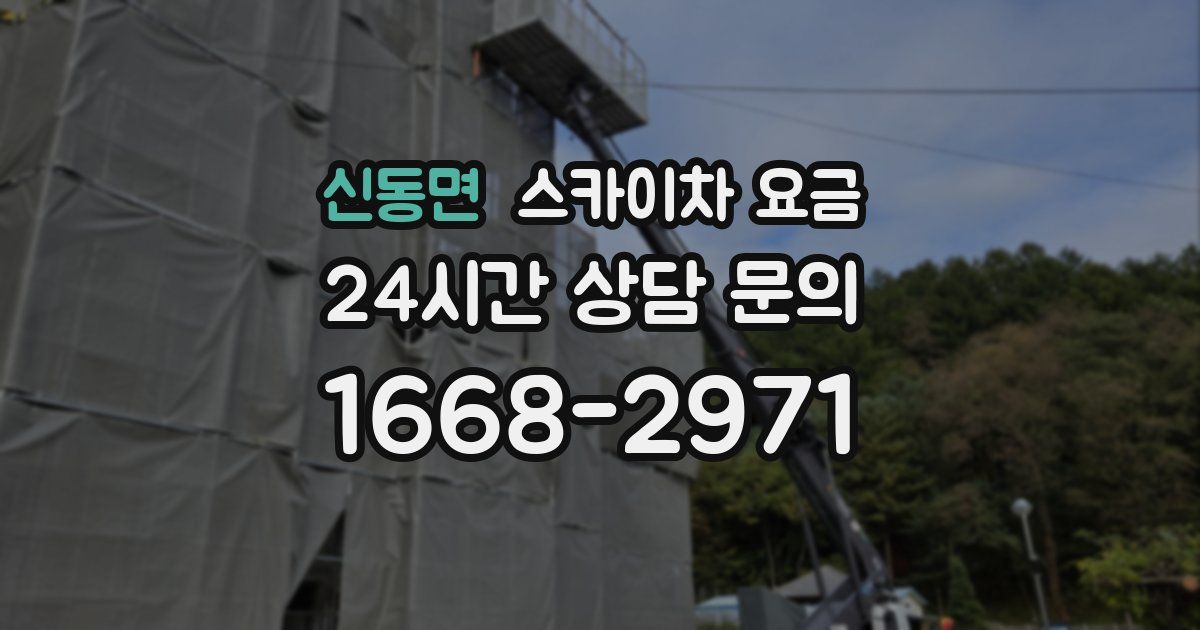 신동면 스카이차 요금