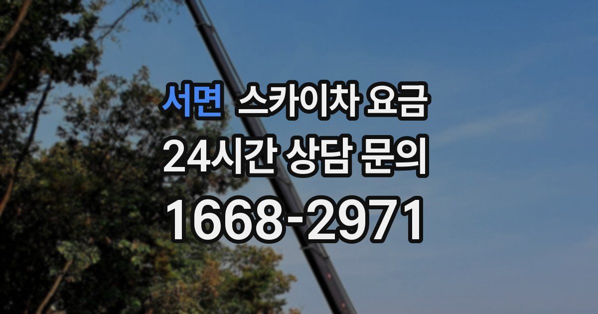 서면 스카이차 요금