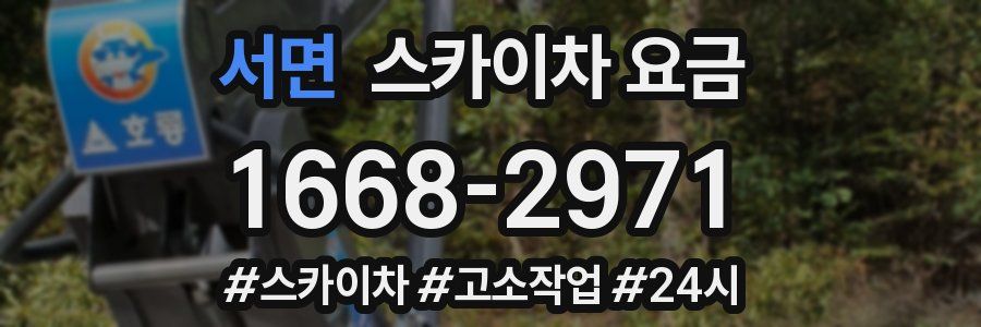 서면 스카이차 요금