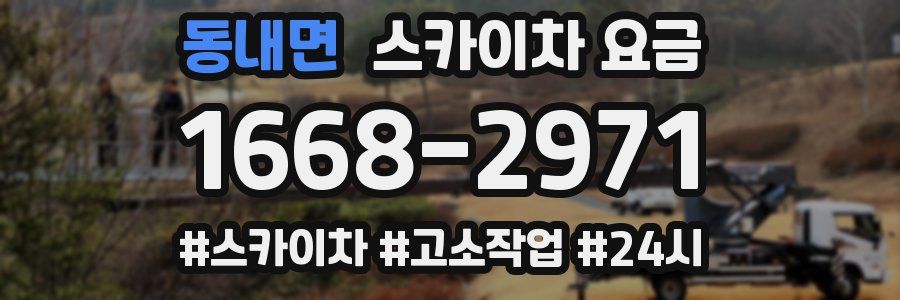 동내면 스카이차 요금