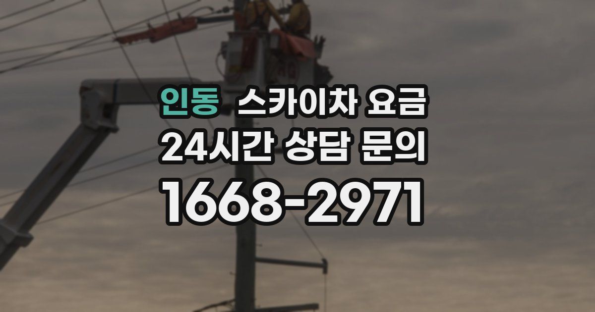 인동 스카이차 요금