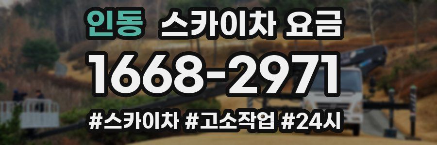 인동 스카이차 요금