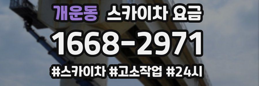 개운동 스카이차 요금