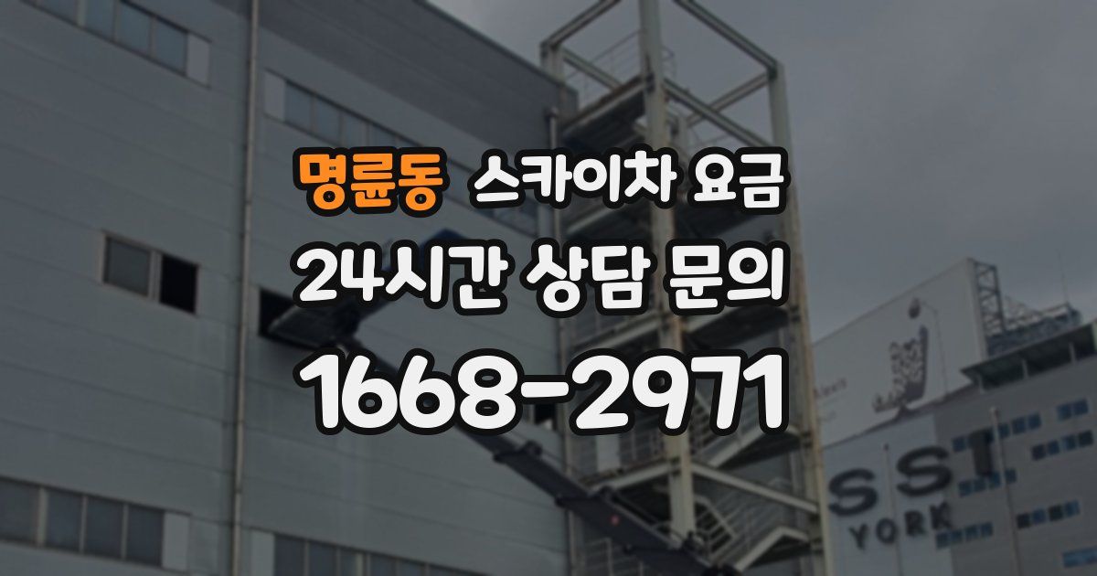 명륜동 스카이차 요금