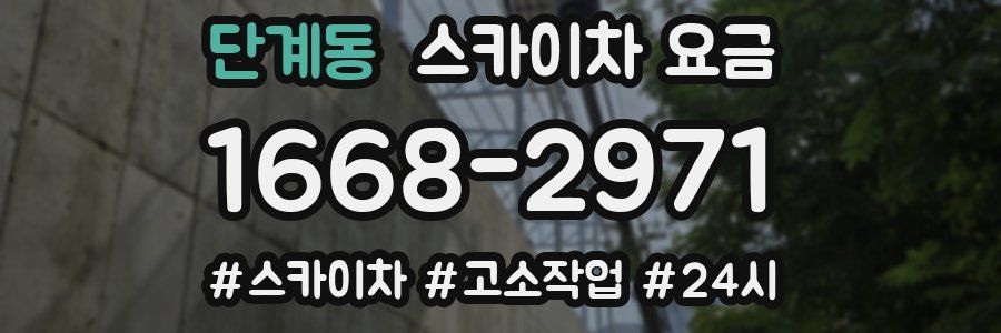 단계동 스카이차 요금