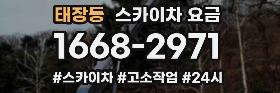 태장동 스카이차 요금