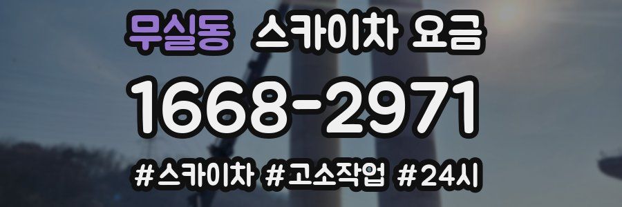 무실동 스카이차 요금
