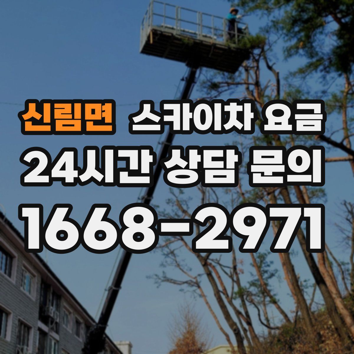 신림면 스카이차 요금