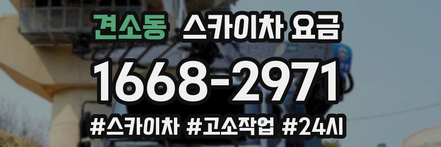 견소동 스카이차 요금