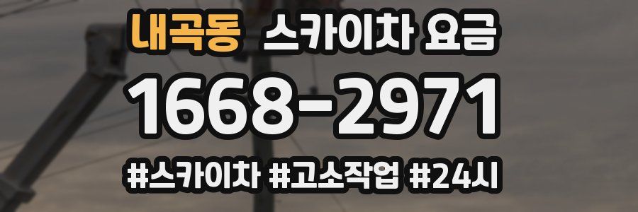 내곡동 스카이차 요금