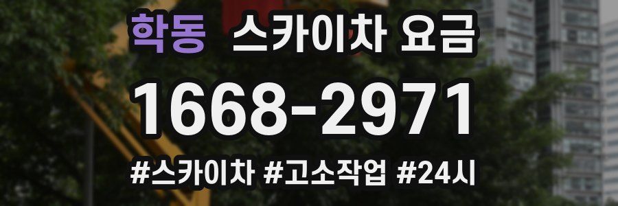 학동 스카이차 요금