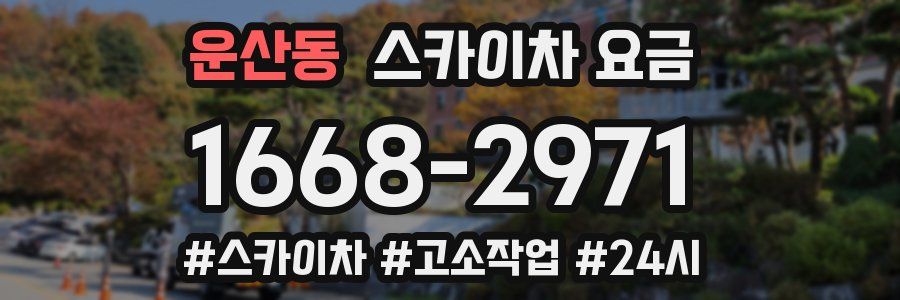 운산동 스카이차 요금