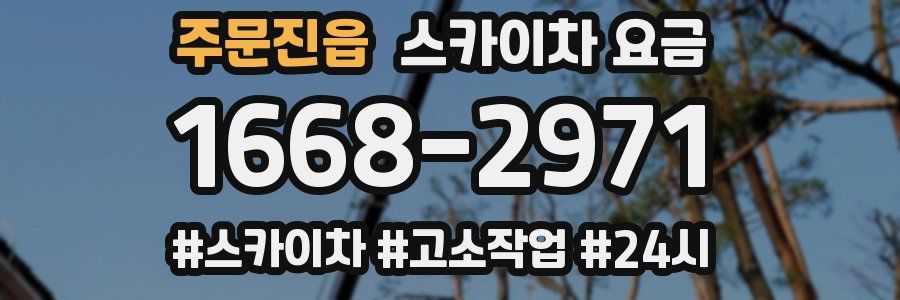 주문진읍 스카이차 요금