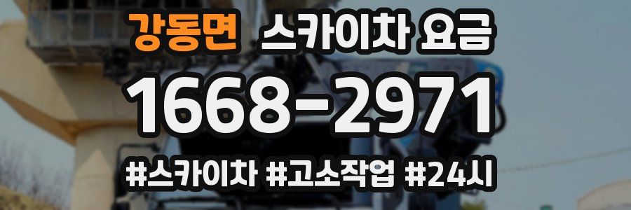 강동면 스카이차 요금