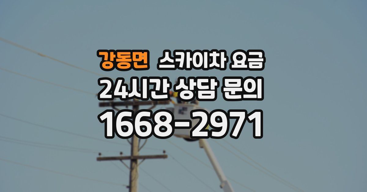 강동면 스카이차 요금