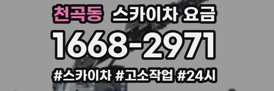 천곡동 스카이차 요금