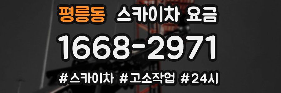 평릉동 스카이차 요금