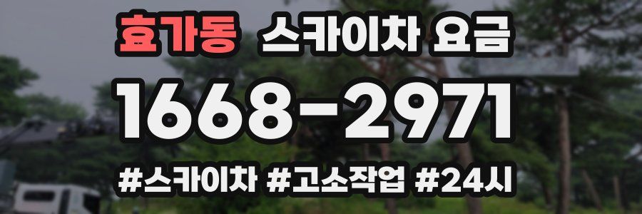 효가동 스카이차 요금