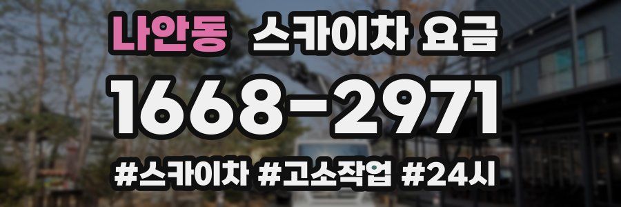 나안동 스카이차 요금