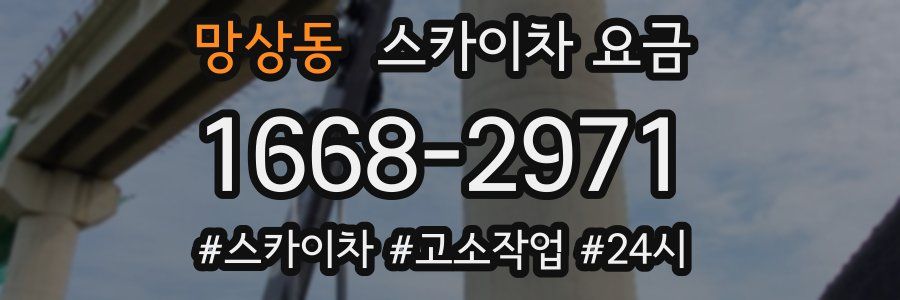 망상동 스카이차 요금
