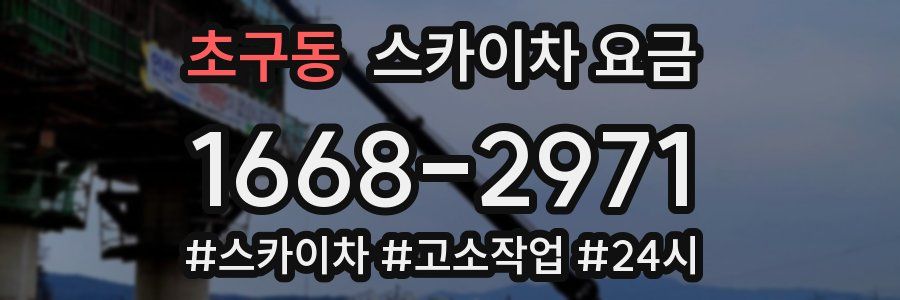 초구동 스카이차 요금