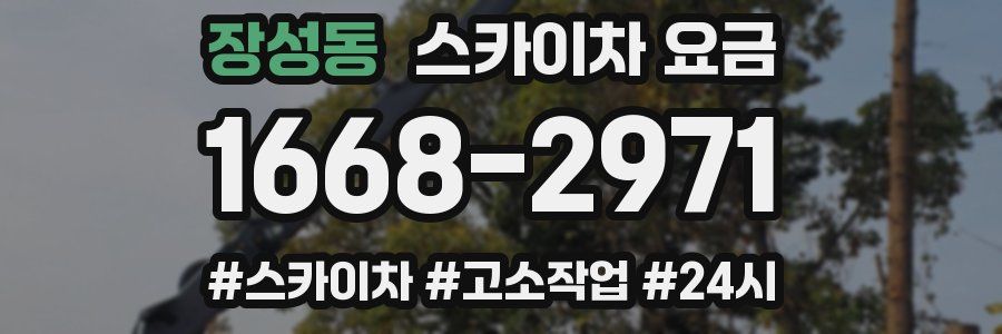 장성동 스카이차 요금