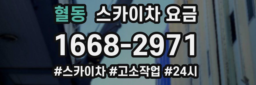 혈동 스카이차 요금