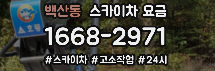 백산동 스카이차 요금